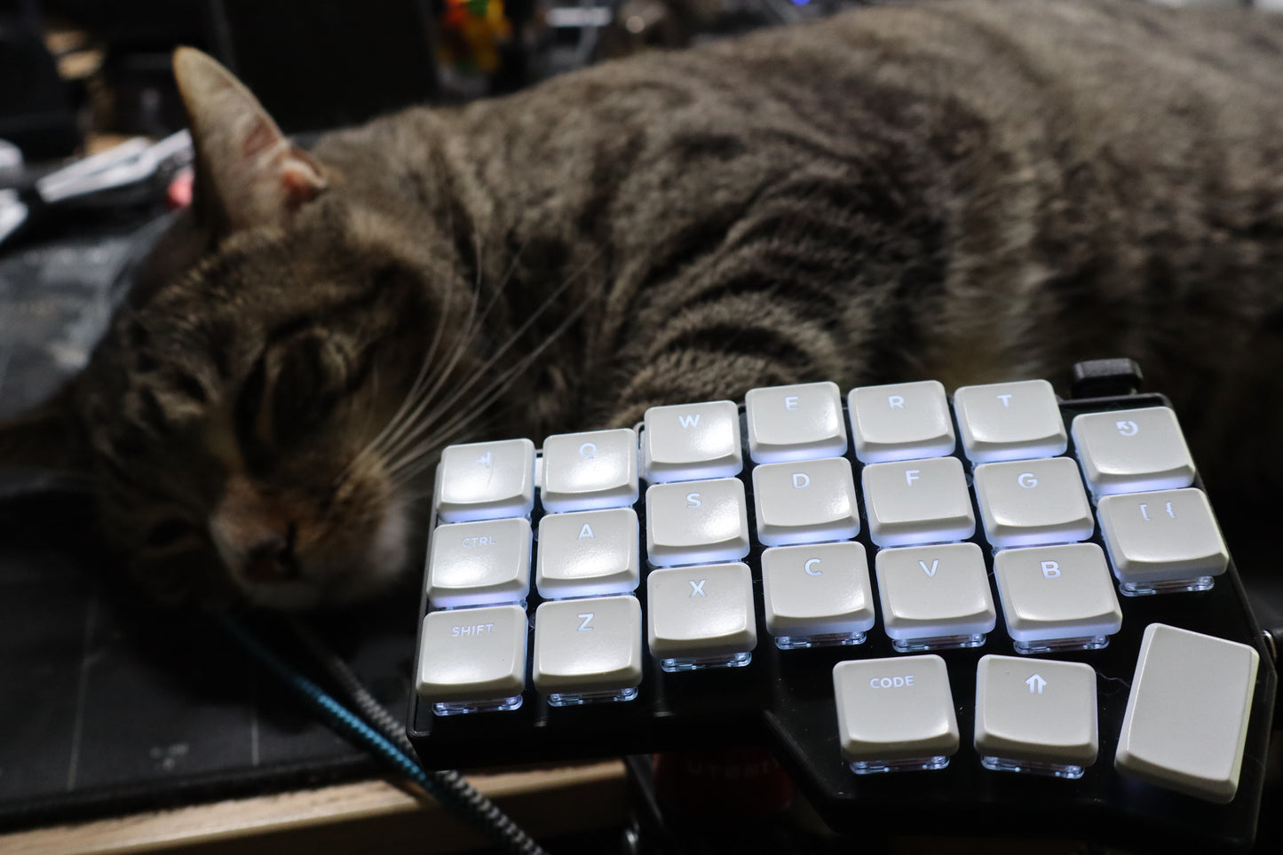 Corne v4.1 Ergo Split Keyboard Set